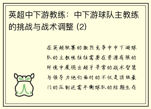 英超中下游教练：中下游球队主教练的挑战与战术调整 (2)