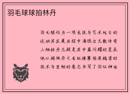 羽毛球球拍林丹