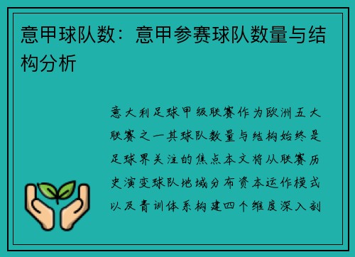 意甲球队数：意甲参赛球队数量与结构分析